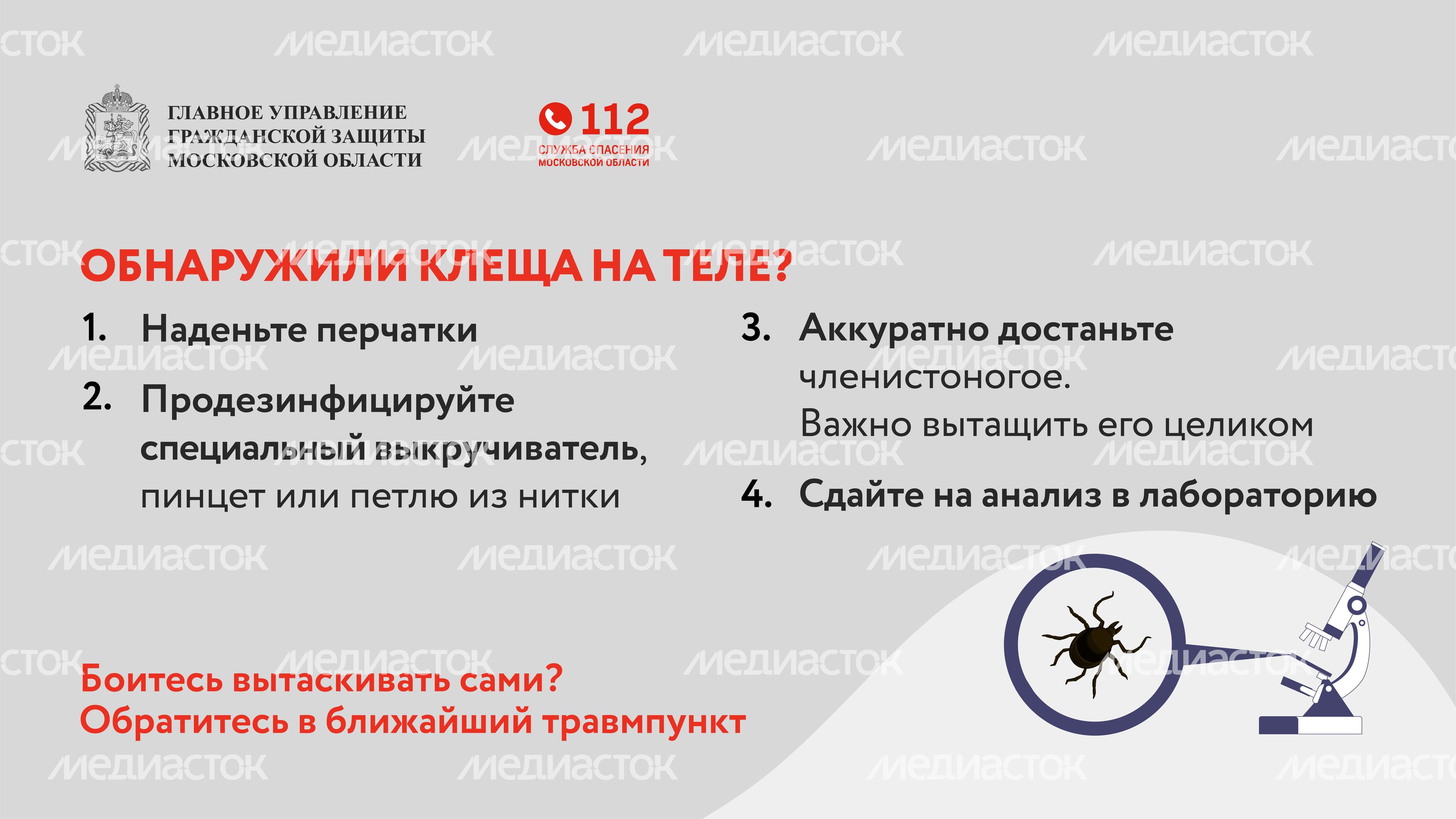 клещи_горизонталь_08