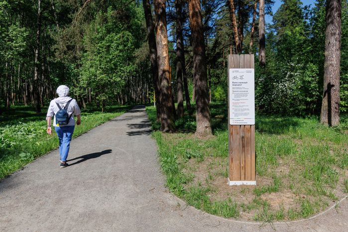 Весна в лесопарке «Северный» в Пушкино