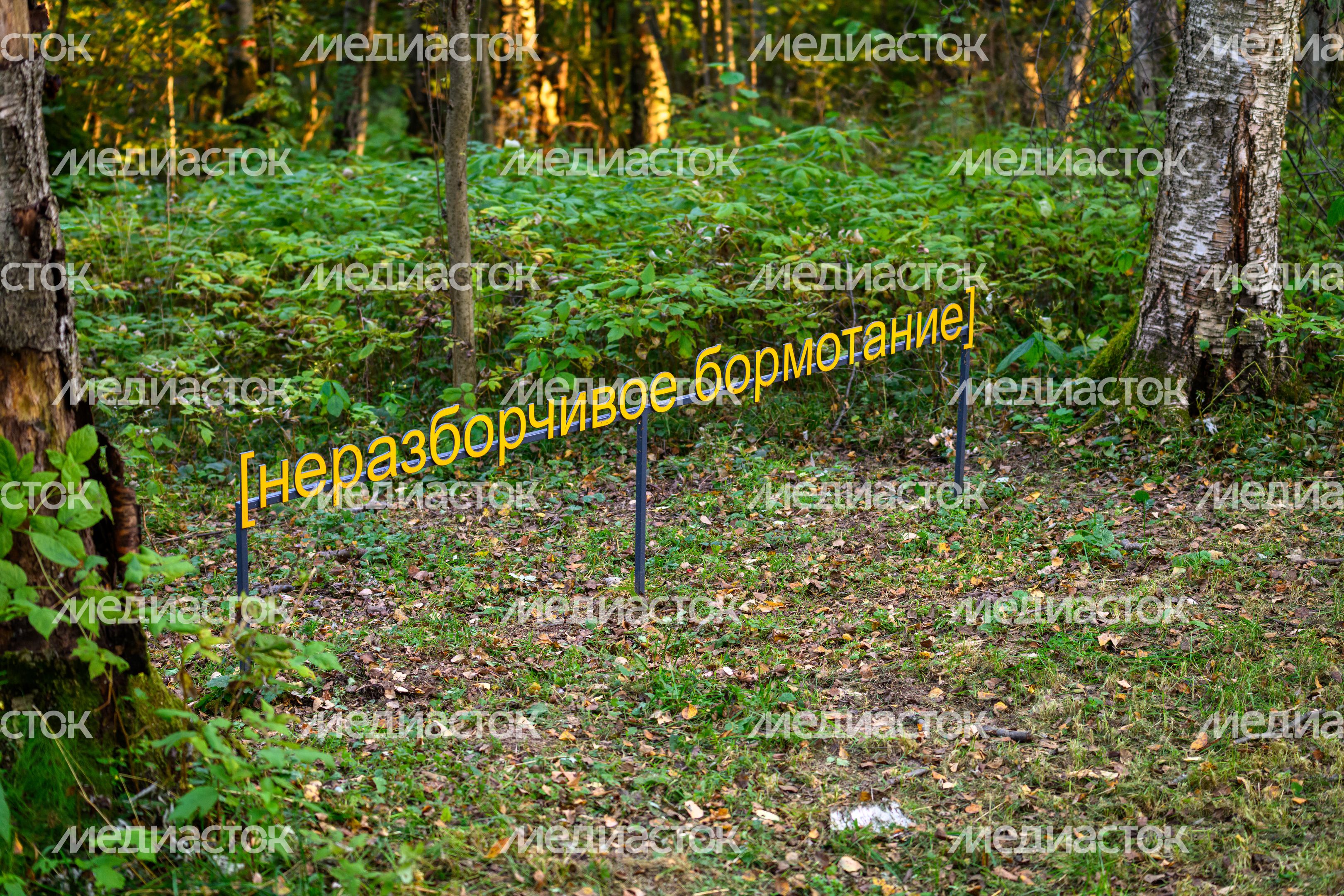 Арт-объект «Субтитры» дуэта «Мишмаш» в парке Малевича Одинцовского округа осенью