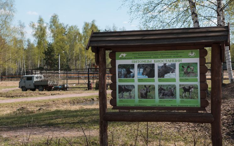 Национальный парк Лосиный остров