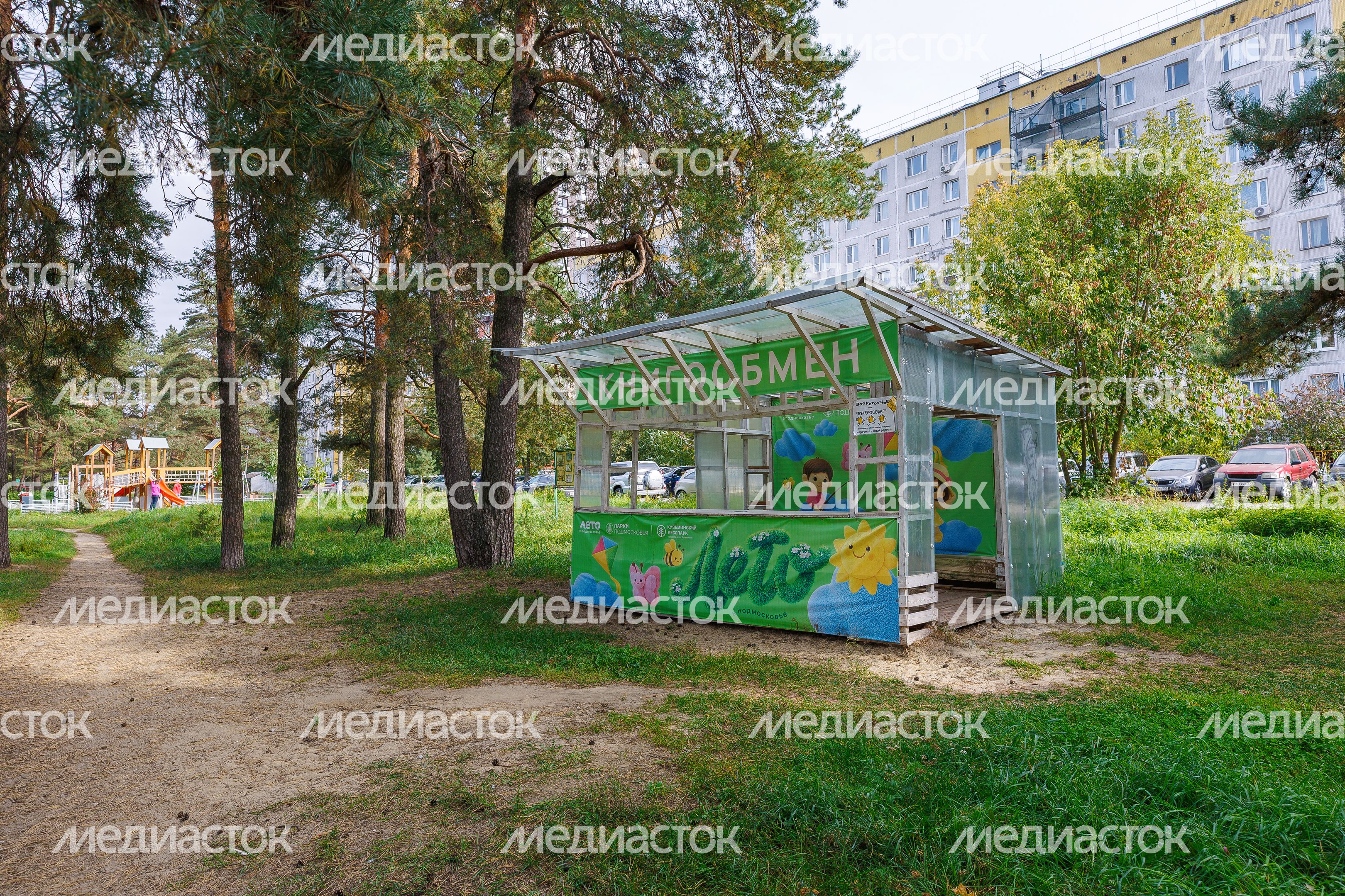 Книгообмен в Кузьминском лесопарке в Котельниках осенью Книгообмен в Кузьминском лесопарке в Котельниках осенью