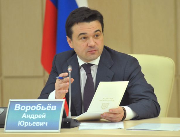 Участие Андрея Воробьева в Общественной палате МО