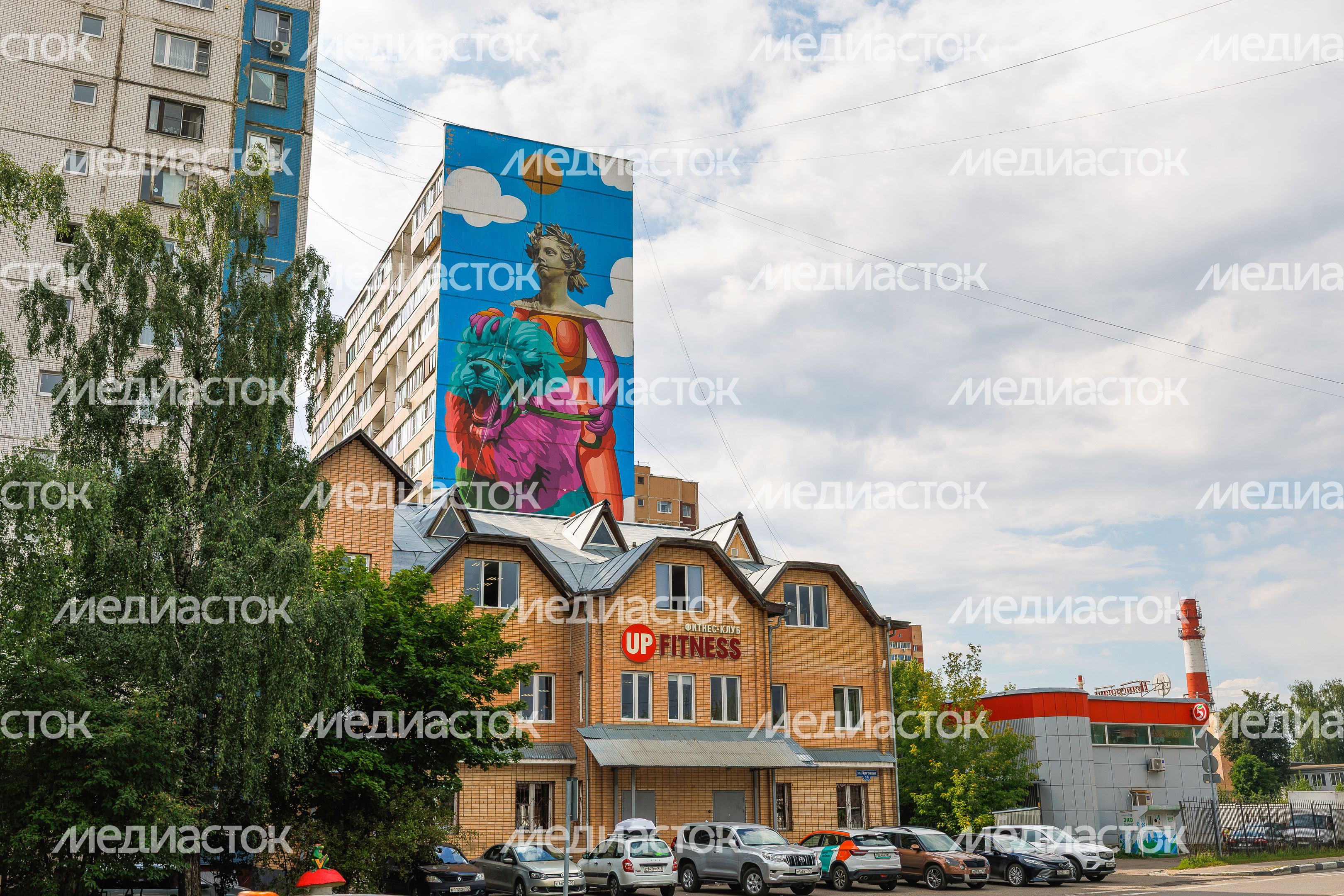 Муралы в Железнодорожном, Балашиха