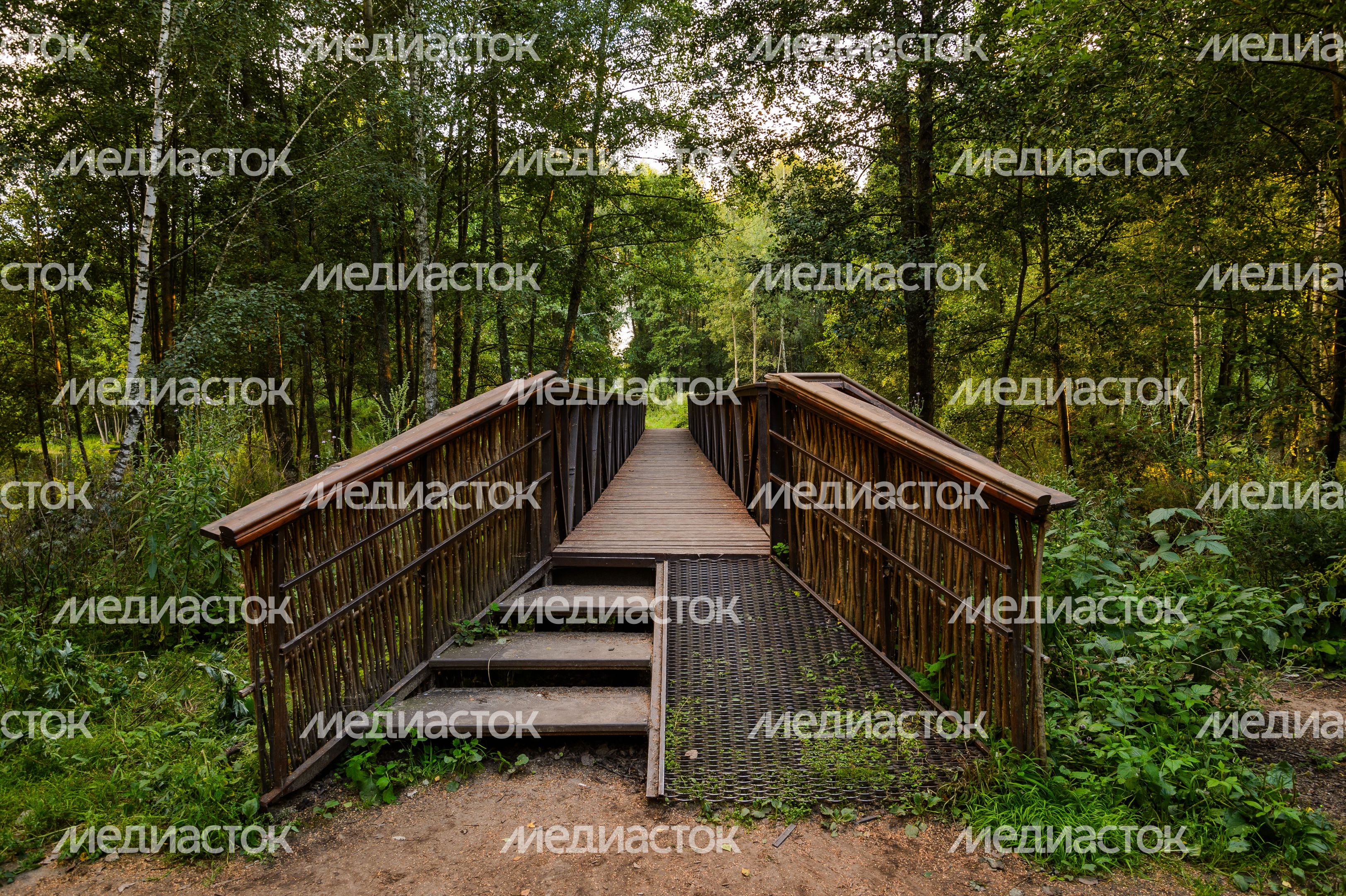 Горокруг Черноголовка. Летние виды реки Черноголовки