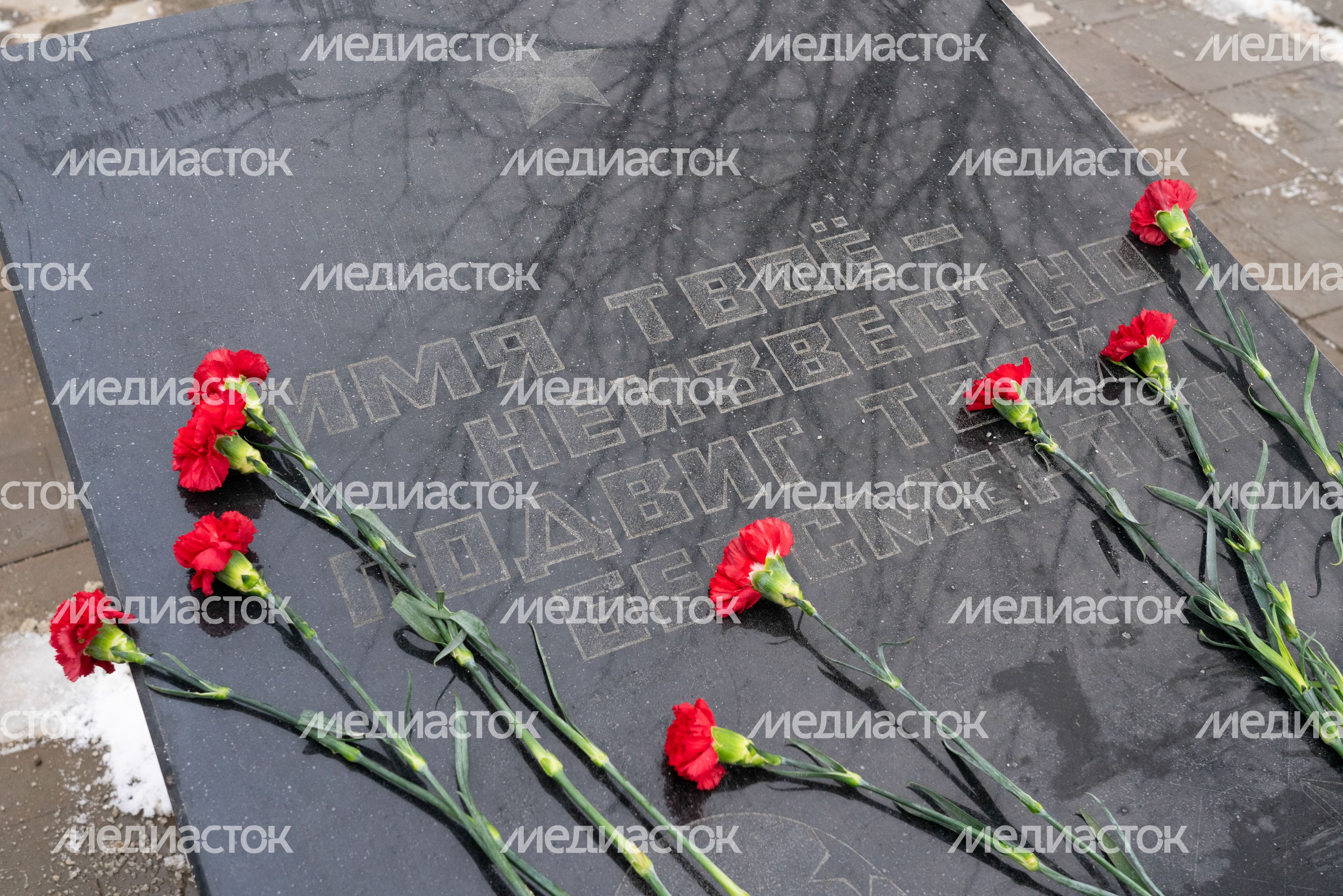 Красногорск. Митинг «Битва под Москвой» в деревне Нефедьево Красногорск. Митинг «Битва под Москвой» в деревне Нефедьево