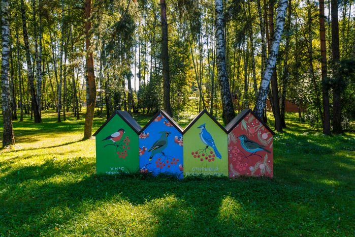 Птицы Подмосковья в Никольско-Архангельском парке Балашихи летом