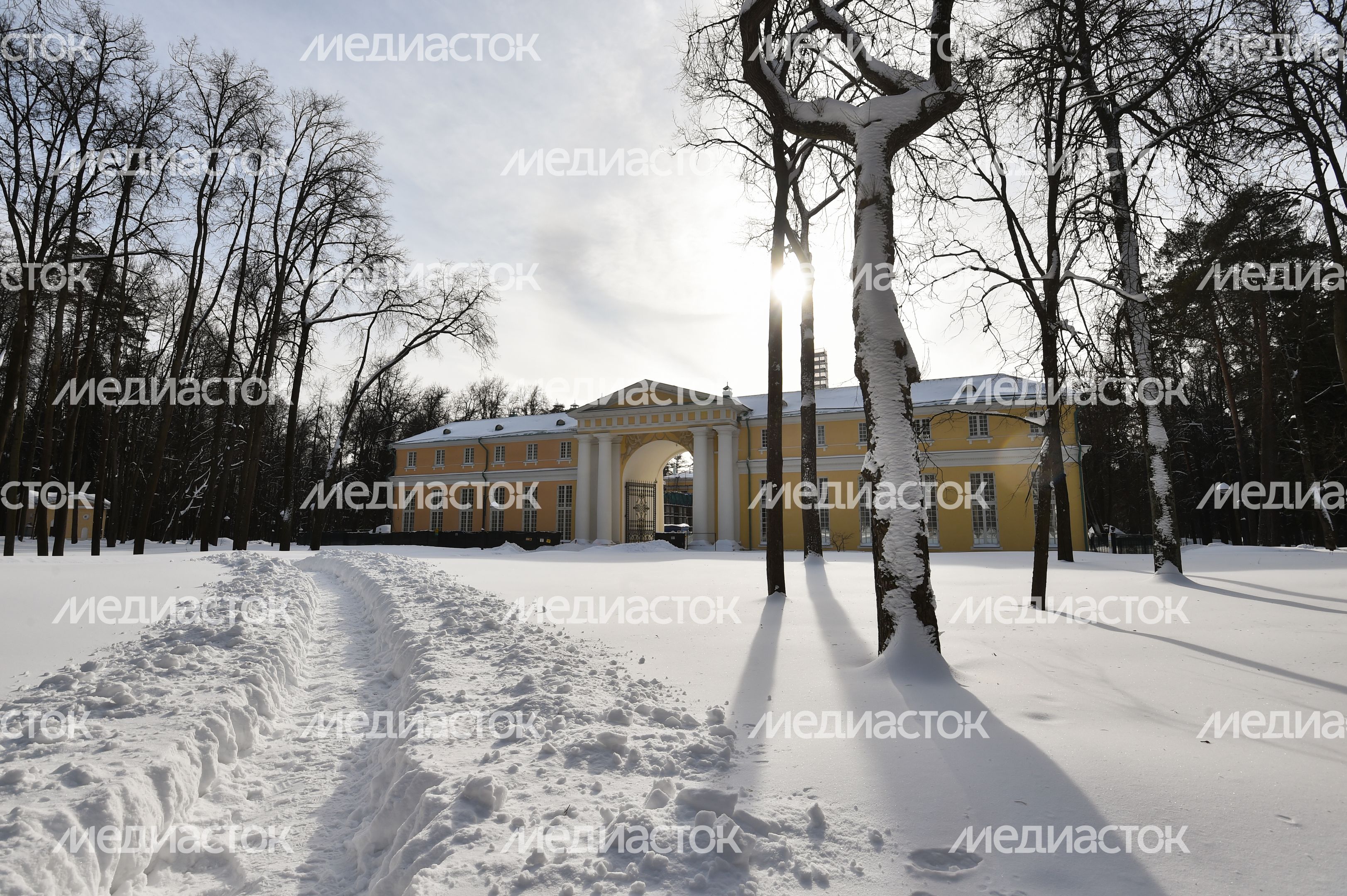 Подготовка к лыжной гонке в музее-усадьбе «Архангельское»