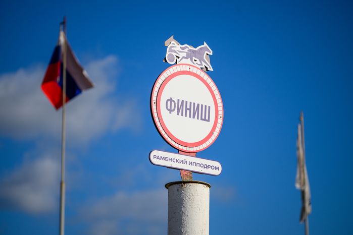 Чемпионат России для лошадей орловской рысистой породы на Раменском ипподроме
