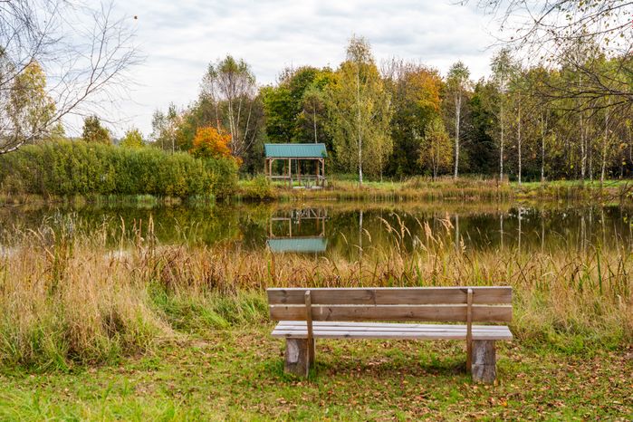 Лавочка у пруда в усадьбе Тараканово в Клину
