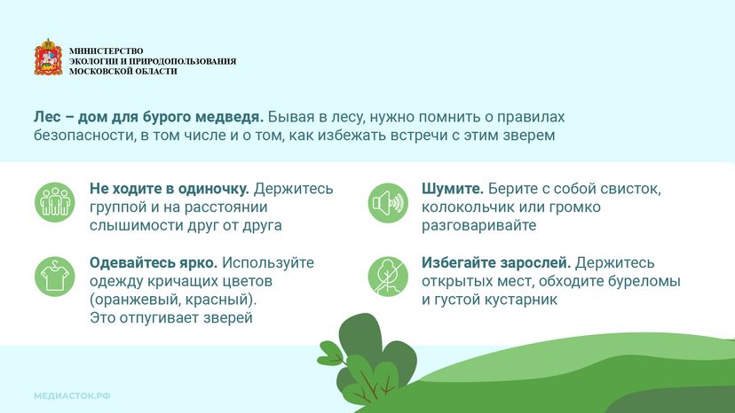 Медведь – сосед, которого нужно знать_горизонталь 07