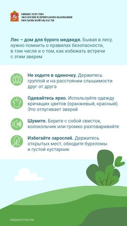 Медведь – сосед, которого нужно знать_вертикаль 07