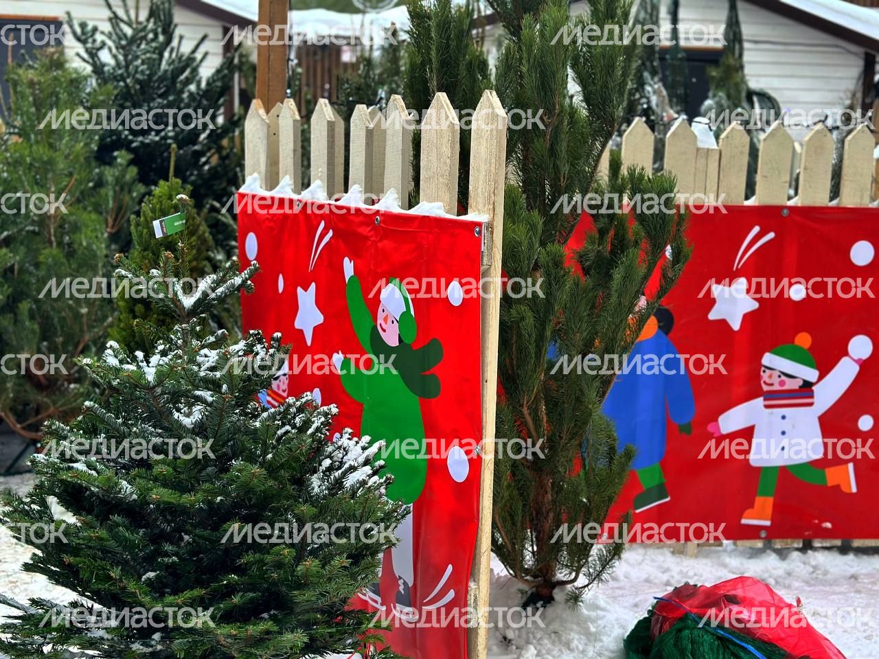 IMAGE 2023-12-15 15:05:43