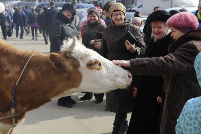 Открытие Москворецкого рынка в Москве