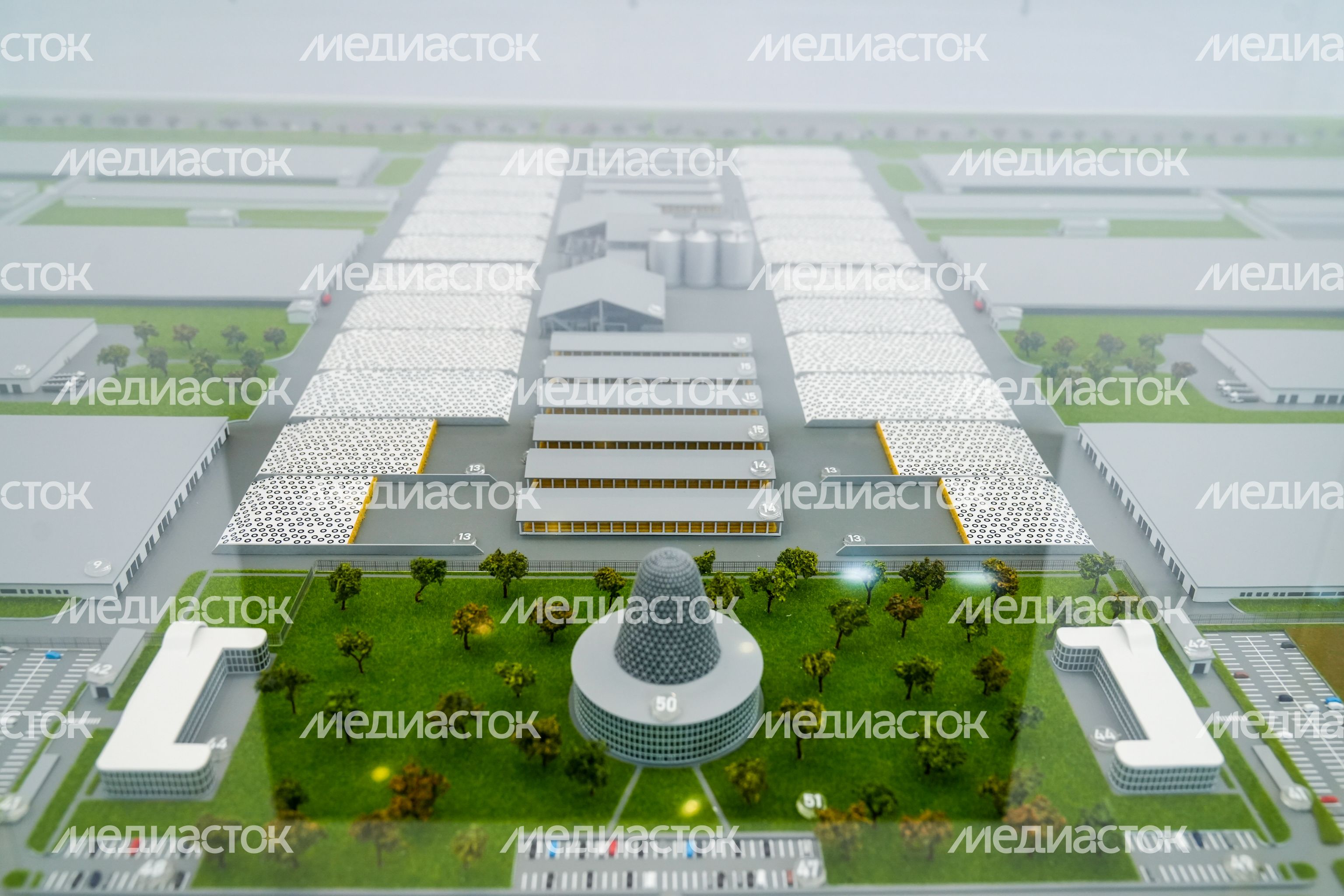 Стенд Подмосковья на выставке "Золотая осень - 2025" Стенд Подмосковья на выставке "Золотая осень - 2025"