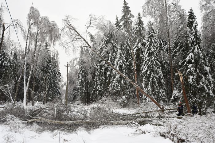 Последствия ледяного дождя в Подмосковье