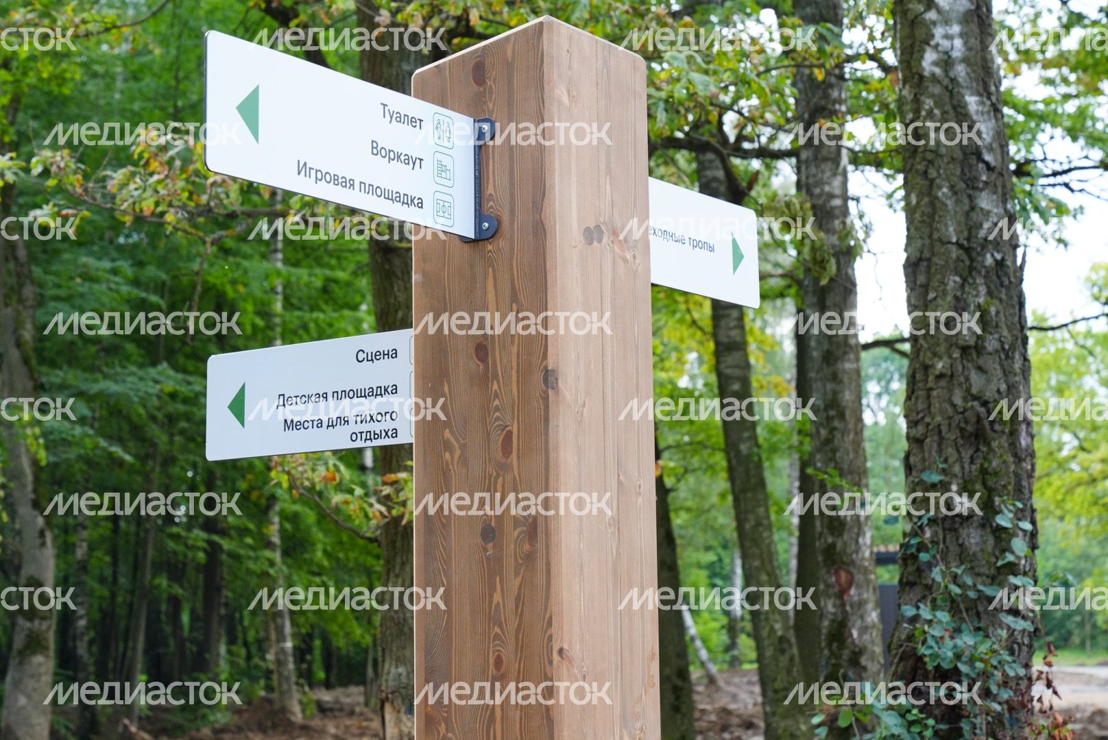 Посещение Фрязинского лесопарка Губернатором Подмосковья