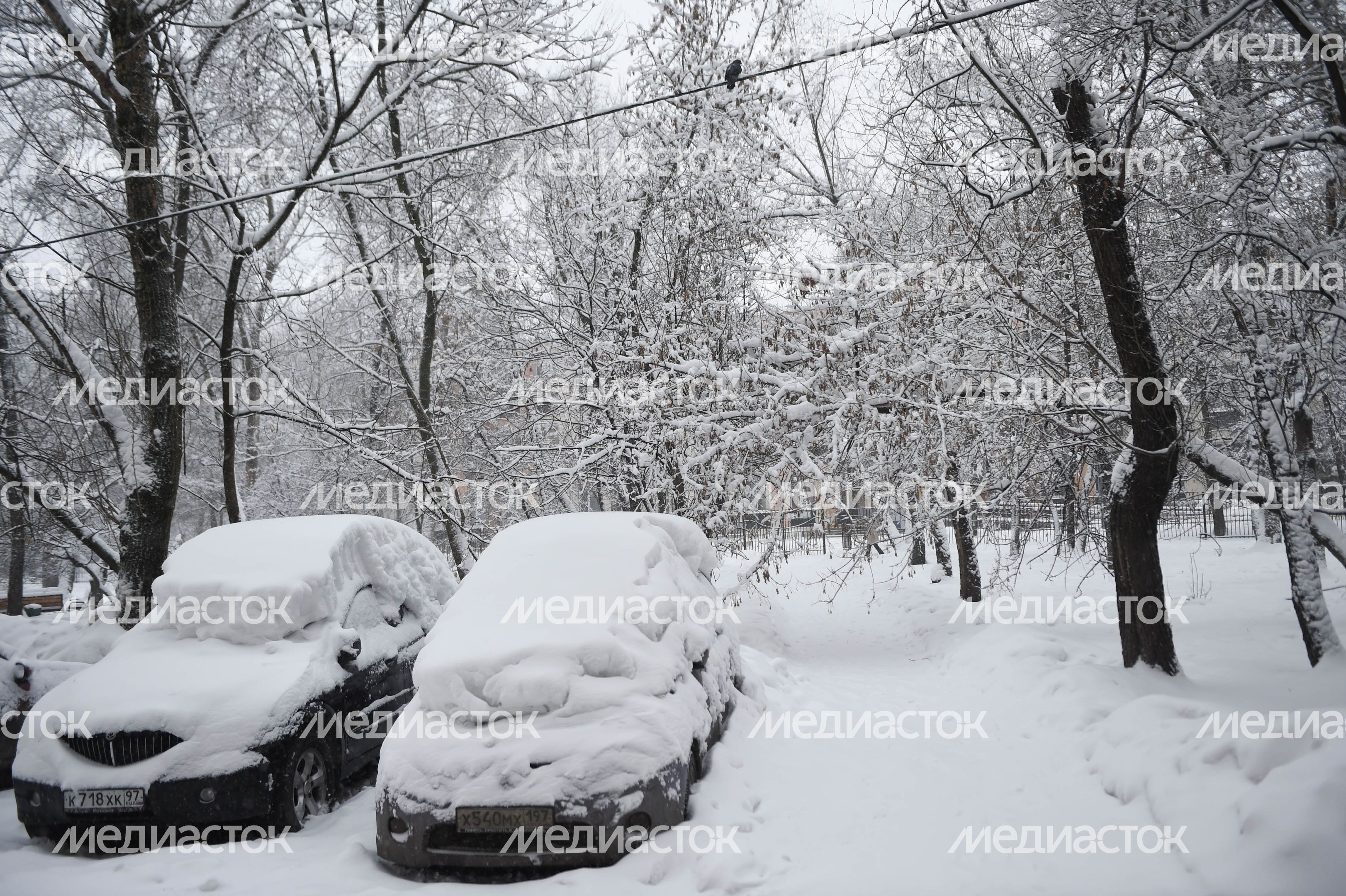 Рекордный снегопад в Москве и Подмосковье