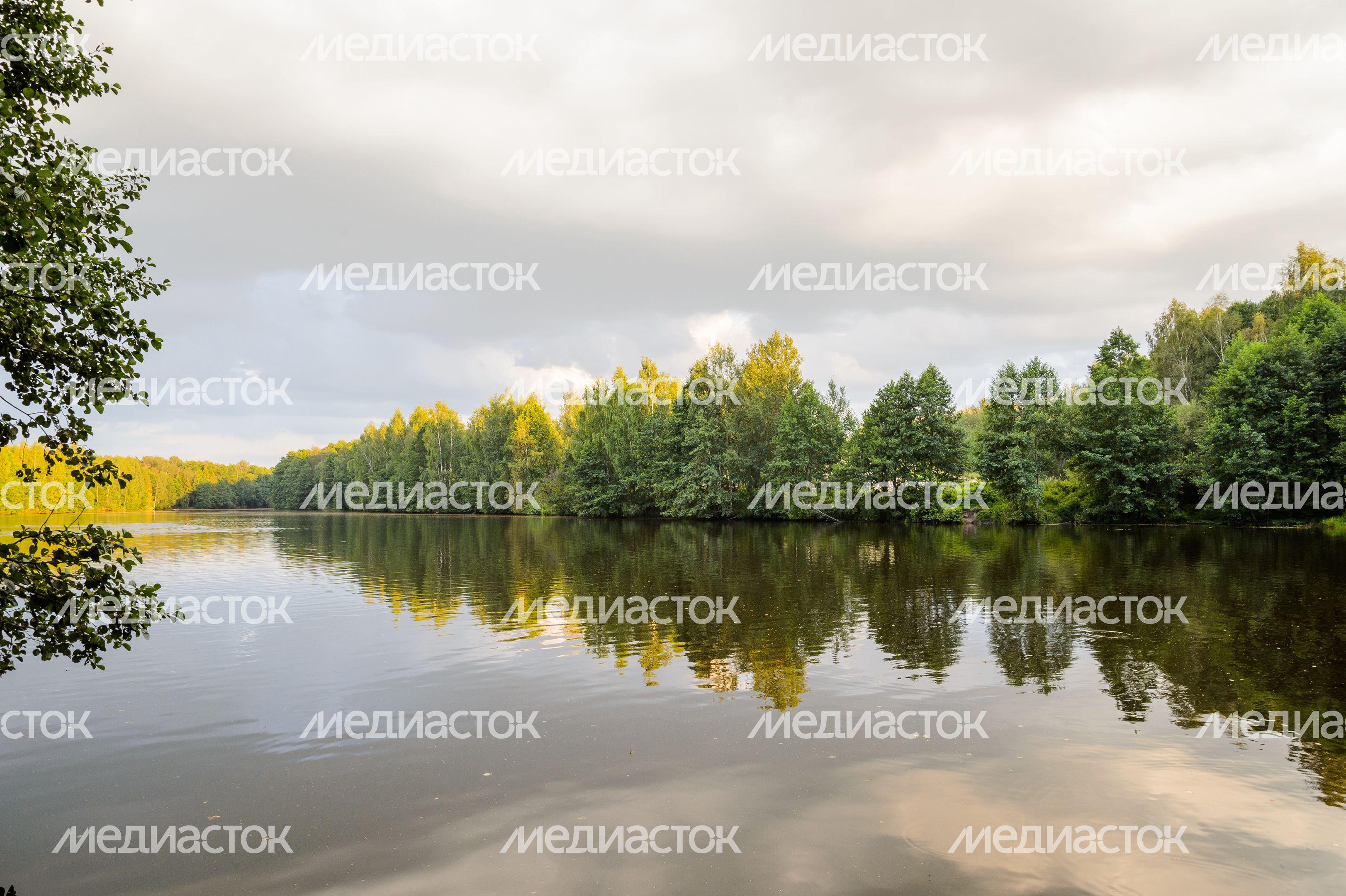 Горокруг Черноголовка. Летние виды реки Черноголовки
