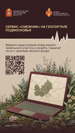 Живете рядом с лесом вертикаль 07