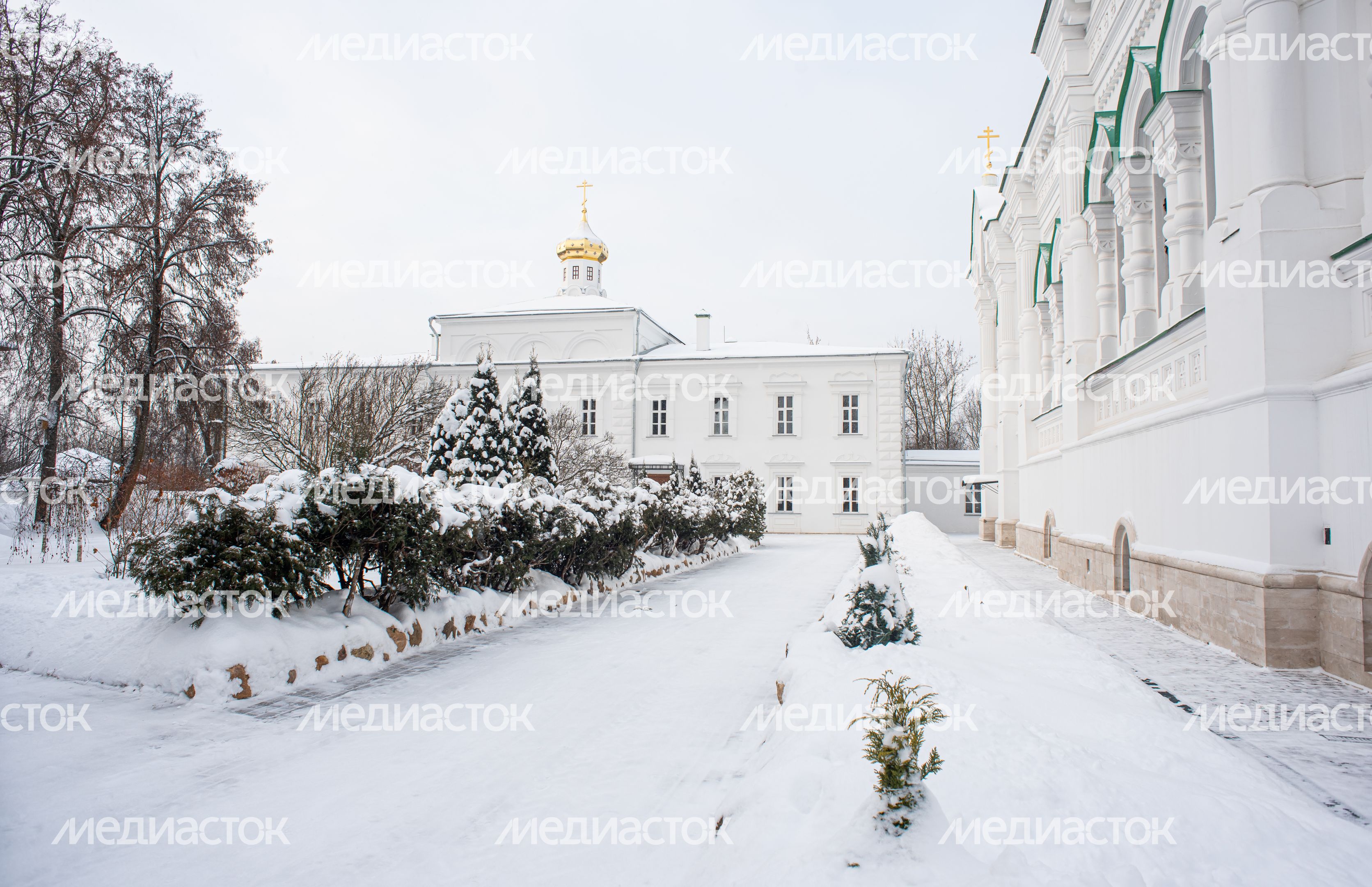 Зимние виды Николо-Берлюковской пустыни