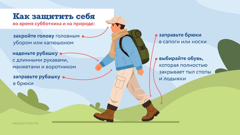Как защититься от клещей горизонталь 05