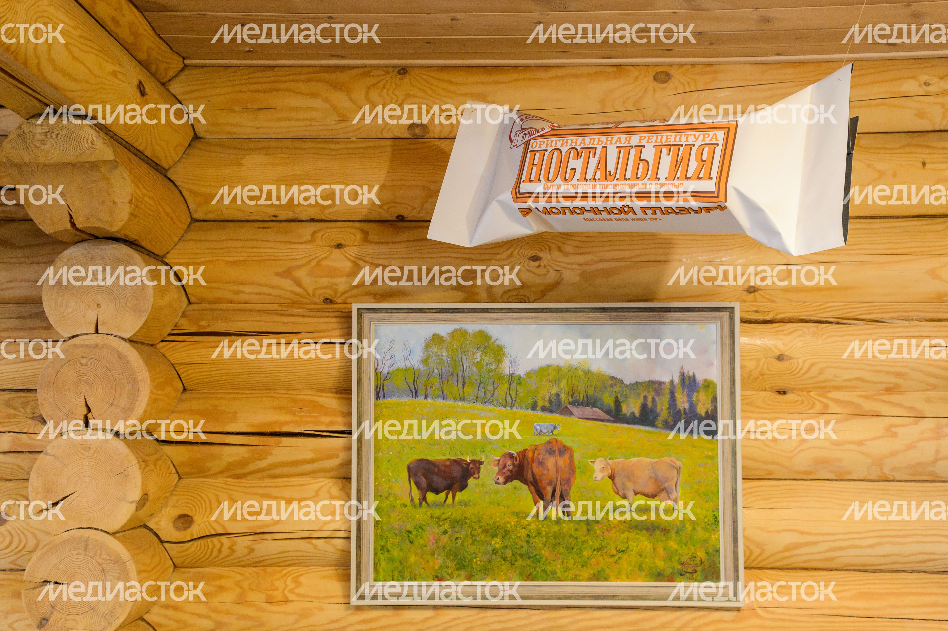 Пушкино. Музей истории молока и глазированного сырка Пушкино. Музей истории молока и глазированного сырка