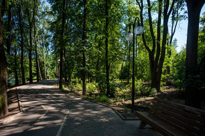Летние виды Сестрорецкого парка в Клину