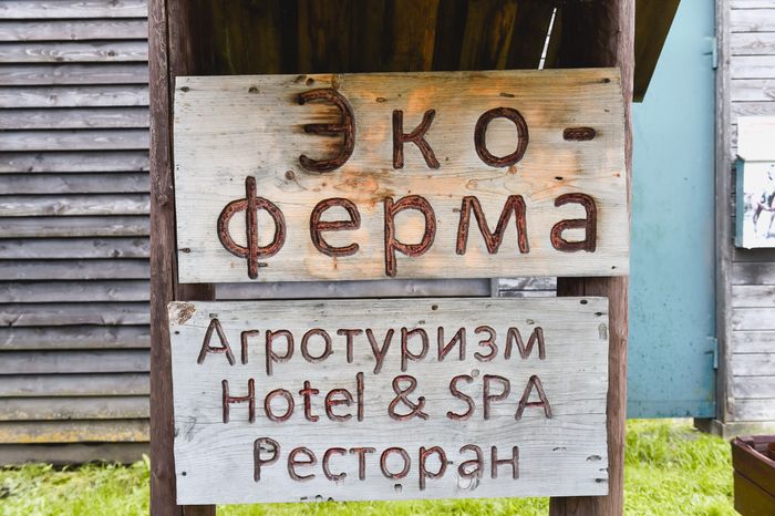 Спа на сеновале и дойка коз: за что иностранцы полюбили подмосковную ферму