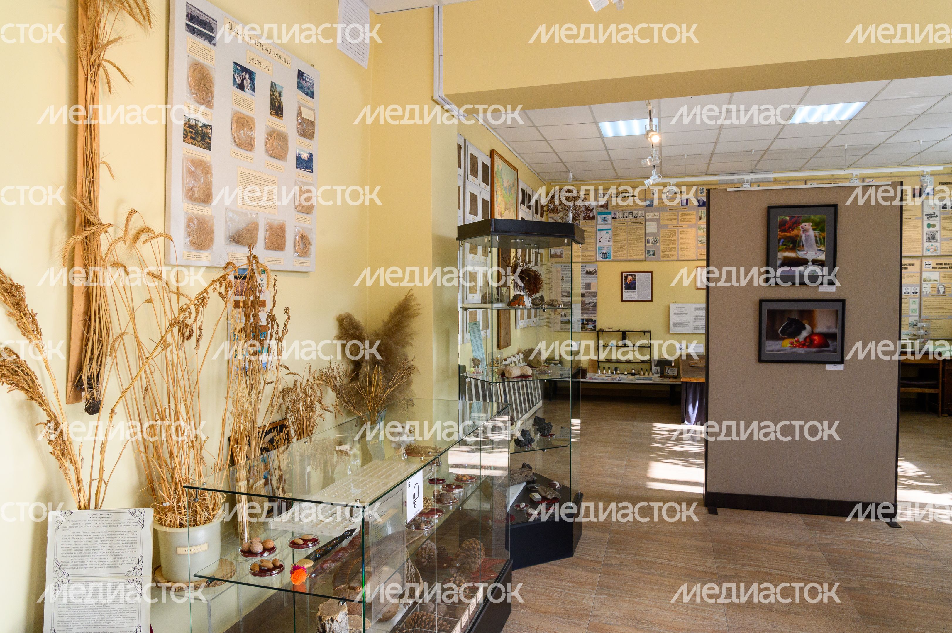 Пущинский музей экологии и краеведения