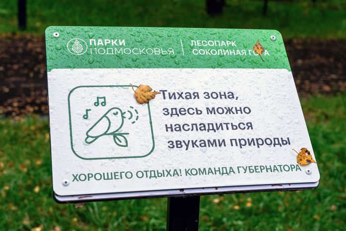 Новый лесопарк «Соколиная гора» в Истре осенью