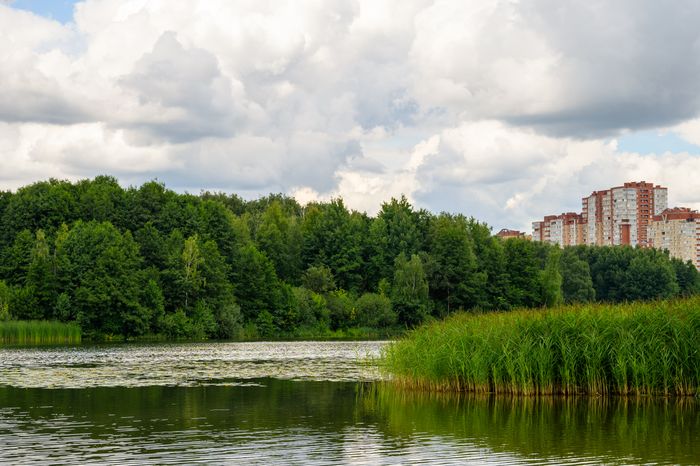 Парк "Заречная" в Балашихе