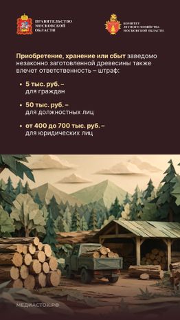 Незаконная рубка вертикаль 05