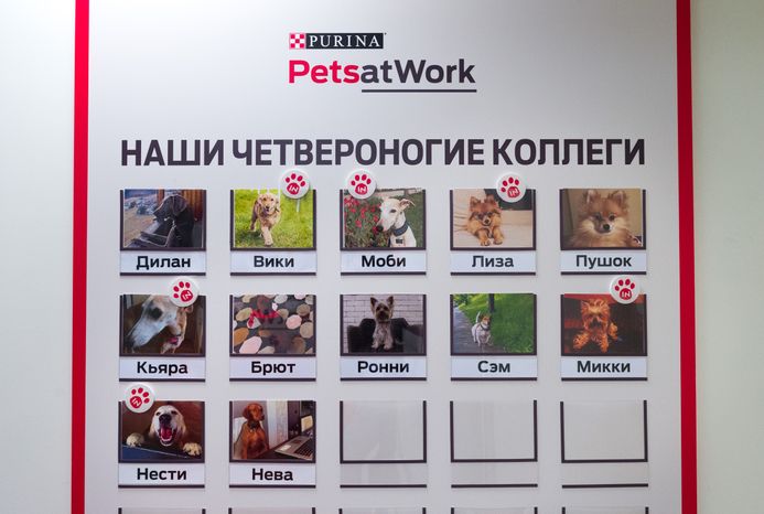 Pet‑friendly офис Purina