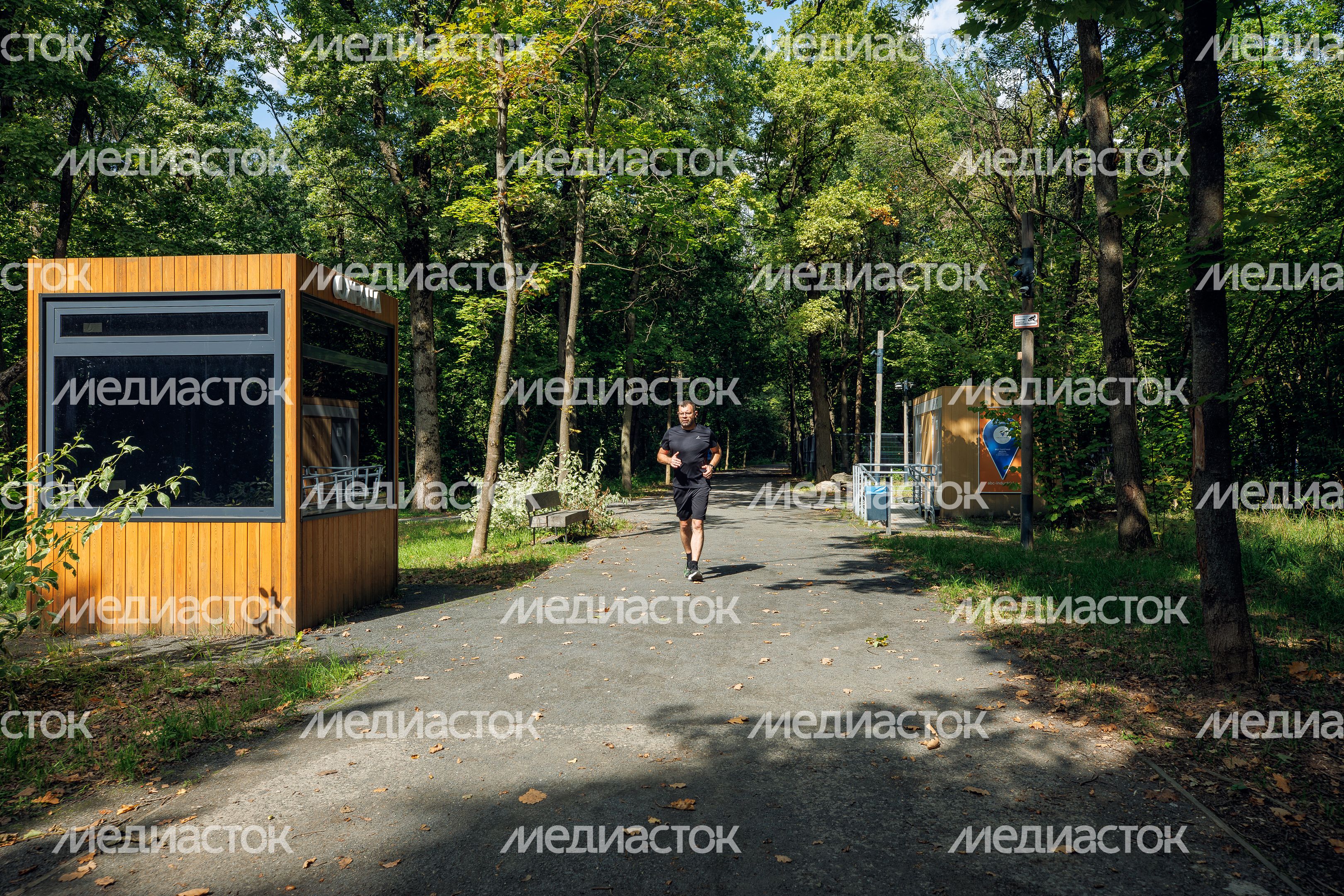 Химкинский лесопарк летом Химкинский лесопарк летом