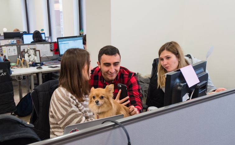 Pet‑friendly офис Purina