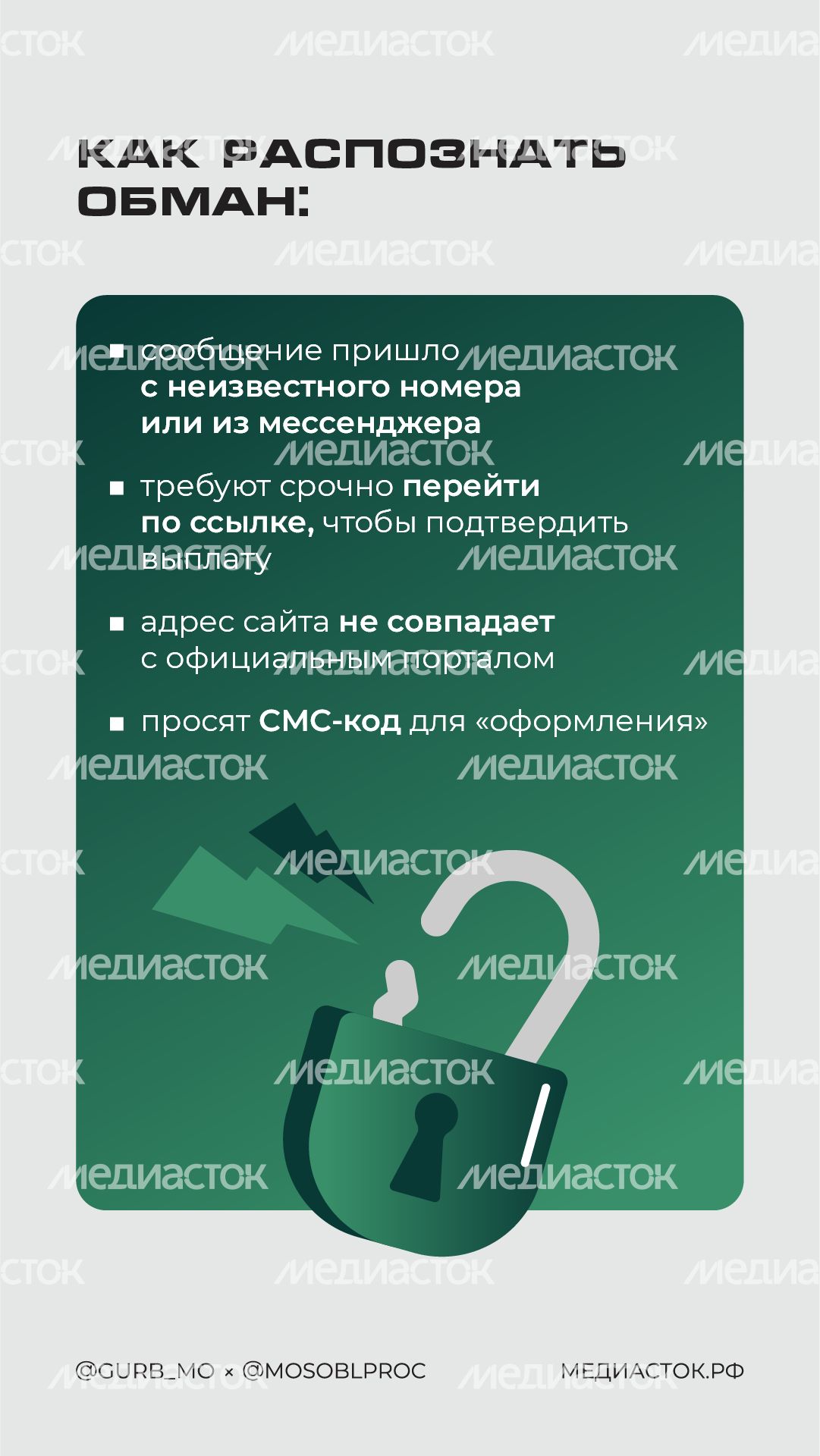 Фейковые семейные выплаты вертикаль 04
