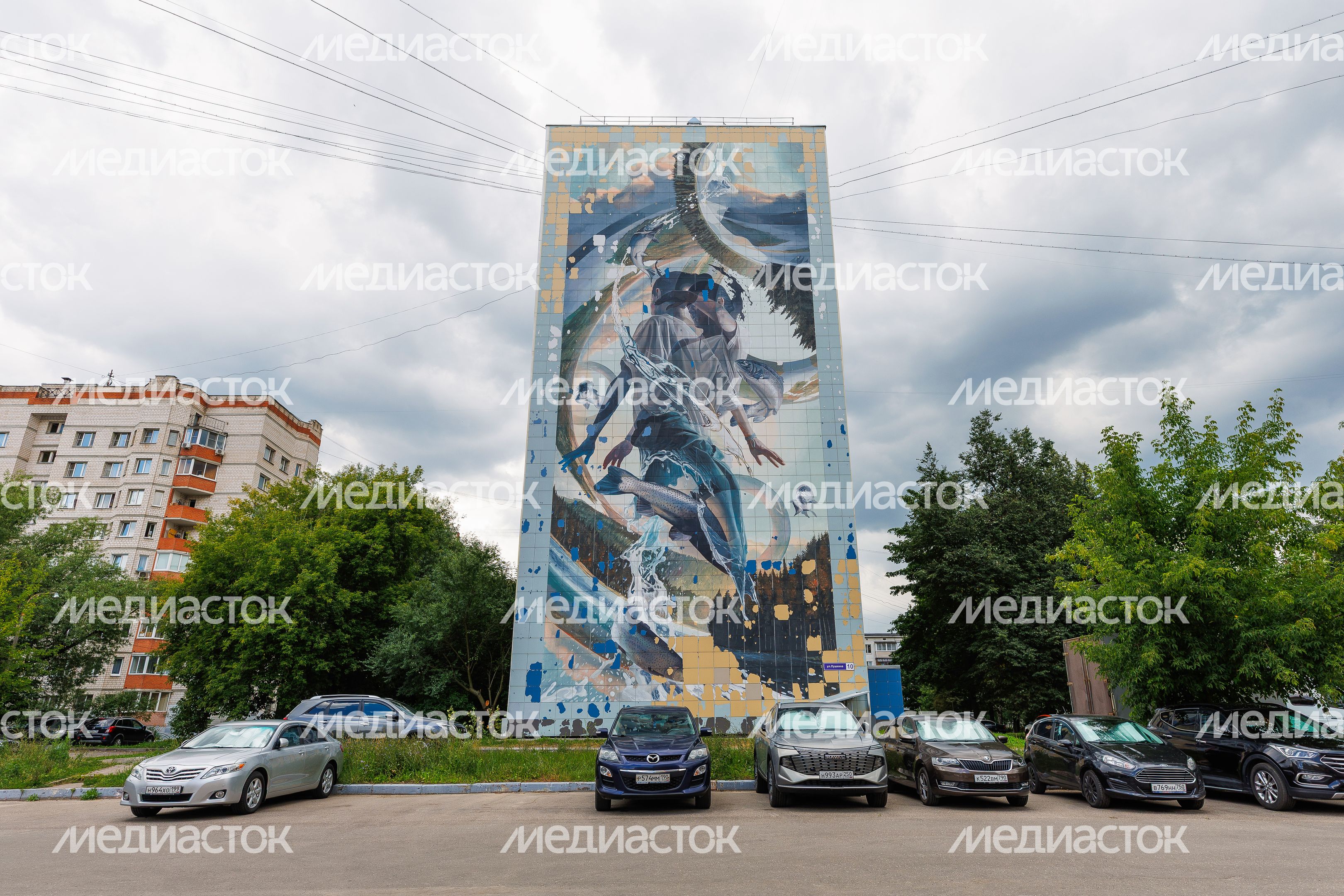 Муралы в Железнодорожном, Балашиха