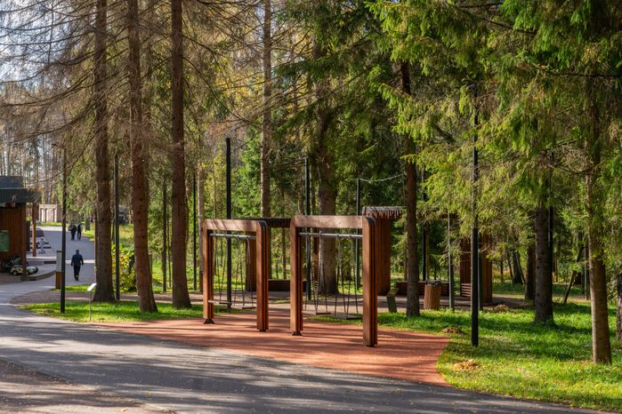 Лесопарк «Соколиная гора» осенью в Истре