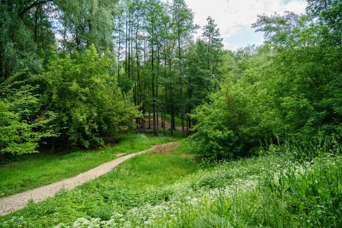 Раменский городской парк культуры и отдыха летом