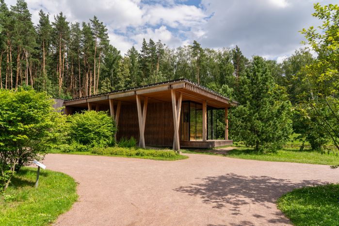 Мещерский парк летом