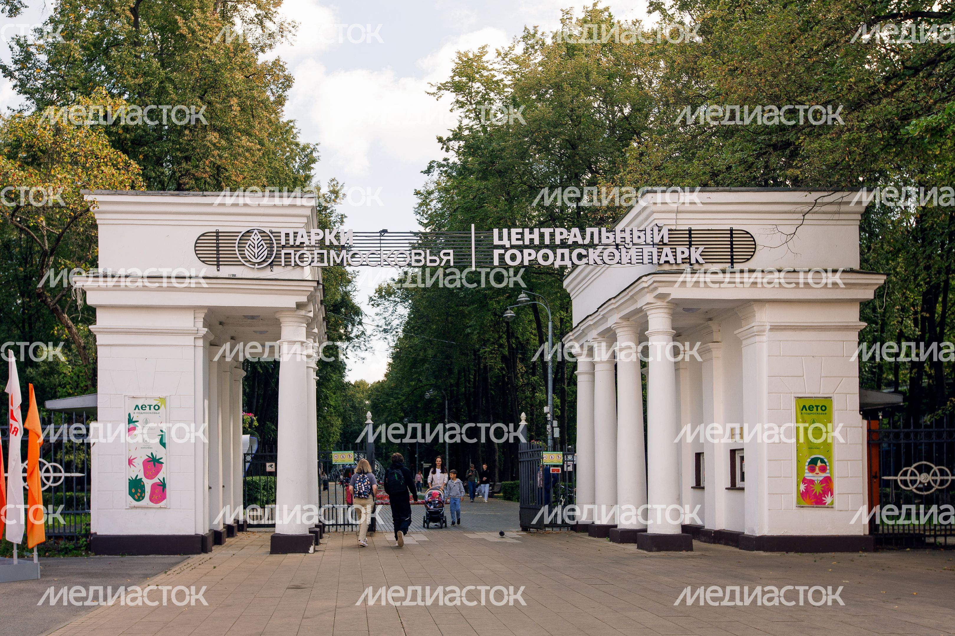 Центральный городской парк им. М.И. Калинина в Королеве летом Центральный городской парк им. М.И. Калинина в Королеве летом