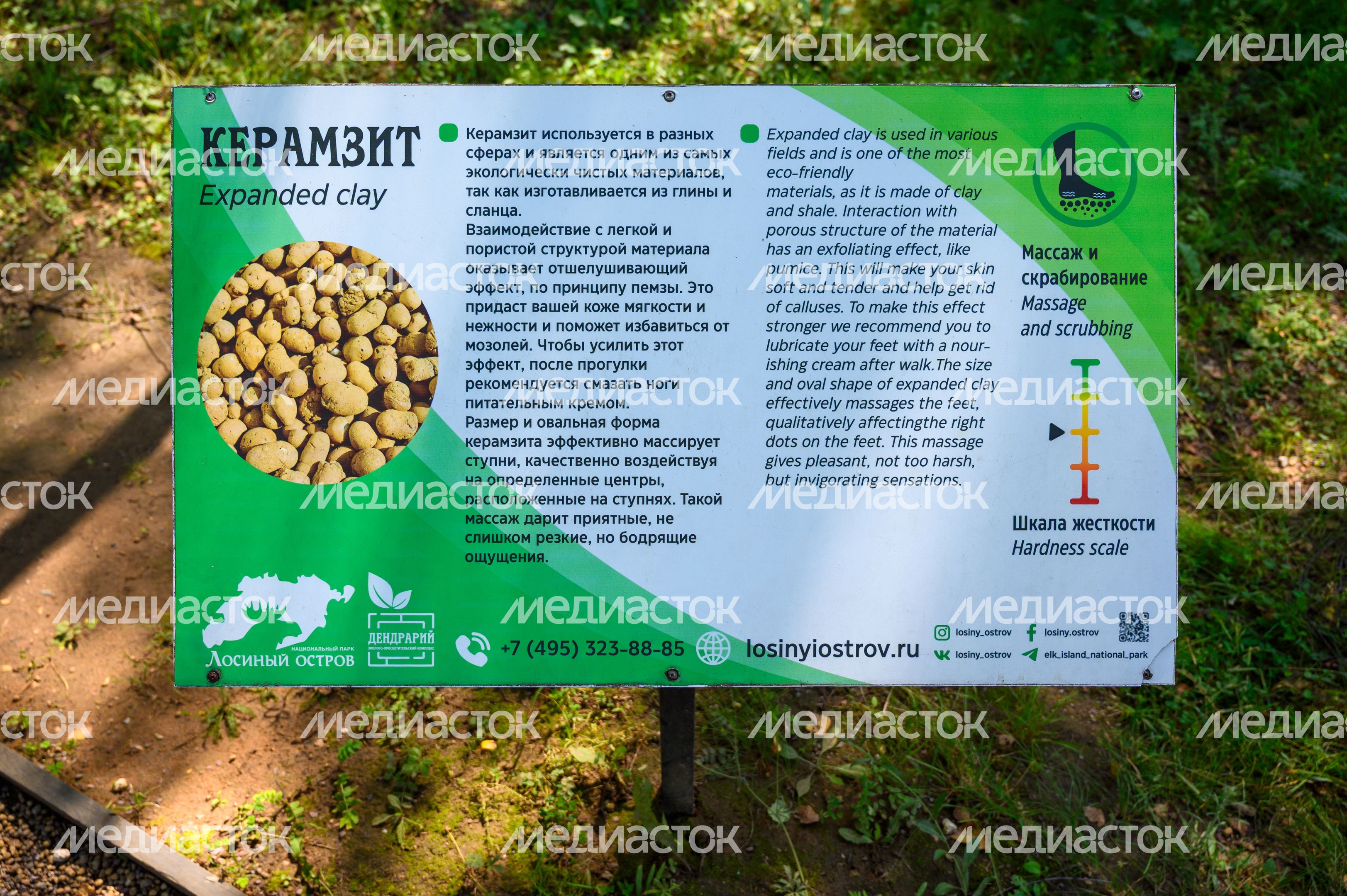 Эколого-просветительский комплекс "Дендрарий" в Мытищах Эколого-просветительский комплекс "Дендрарий" в Мытищах