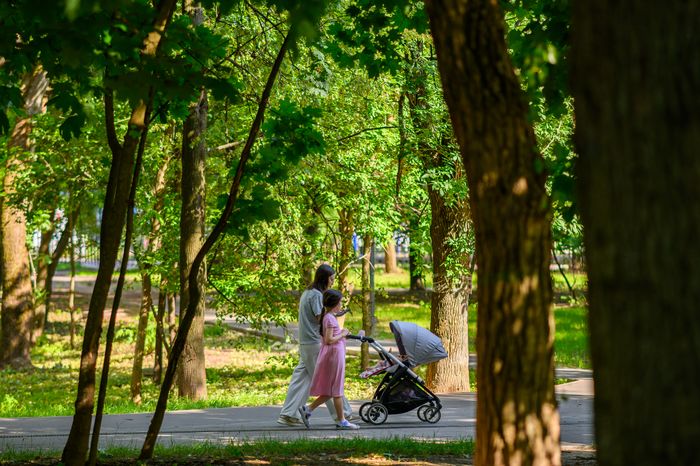Лето в Наташинском парке Люберец