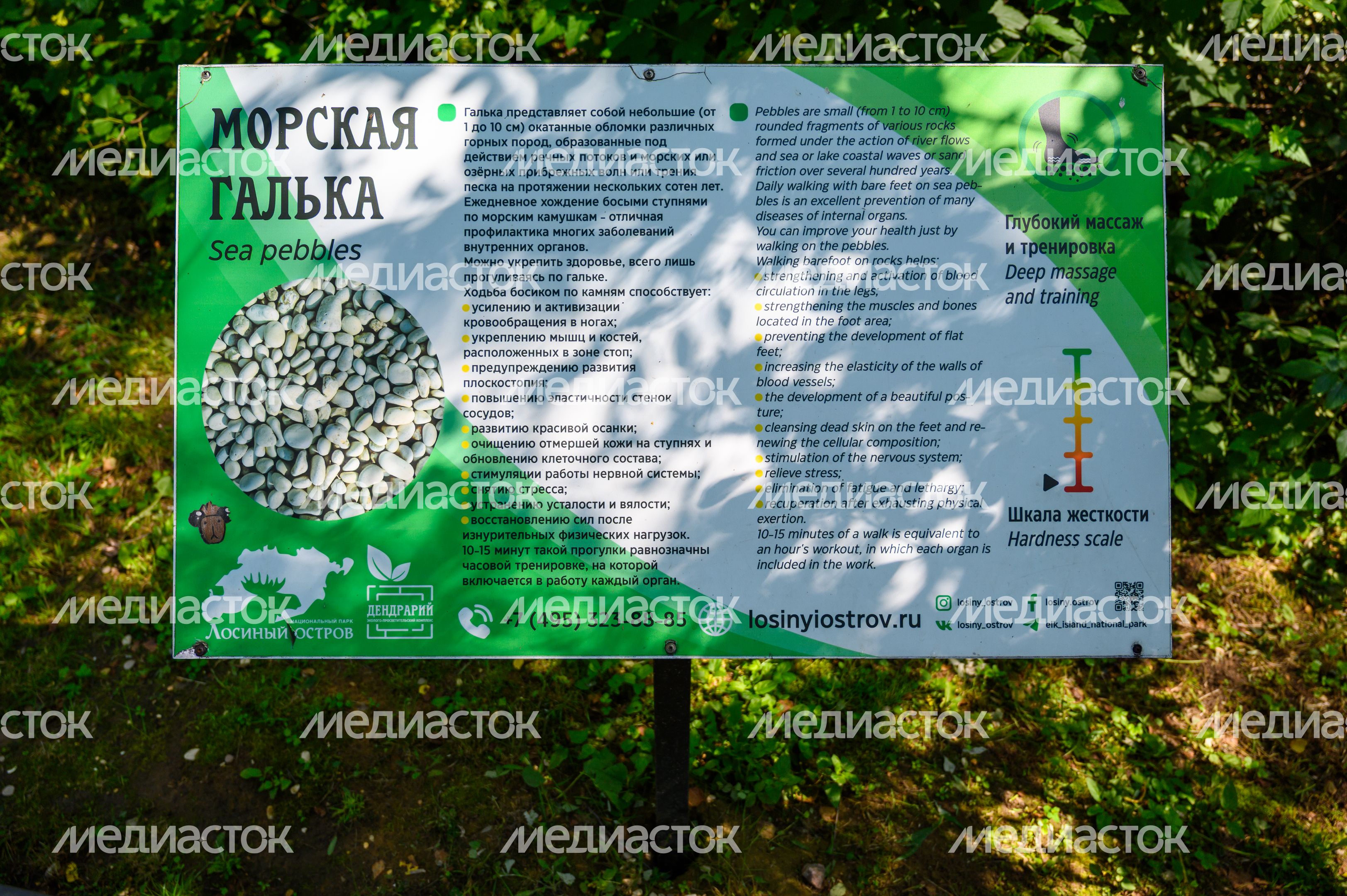 Эколого-просветительский комплекс "Дендрарий" в Мытищах Эколого-просветительский комплекс "Дендрарий" в Мытищах