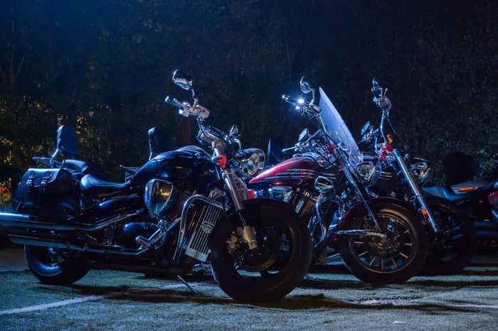 Домодедово. Фестиваль Biker Brothers Festival