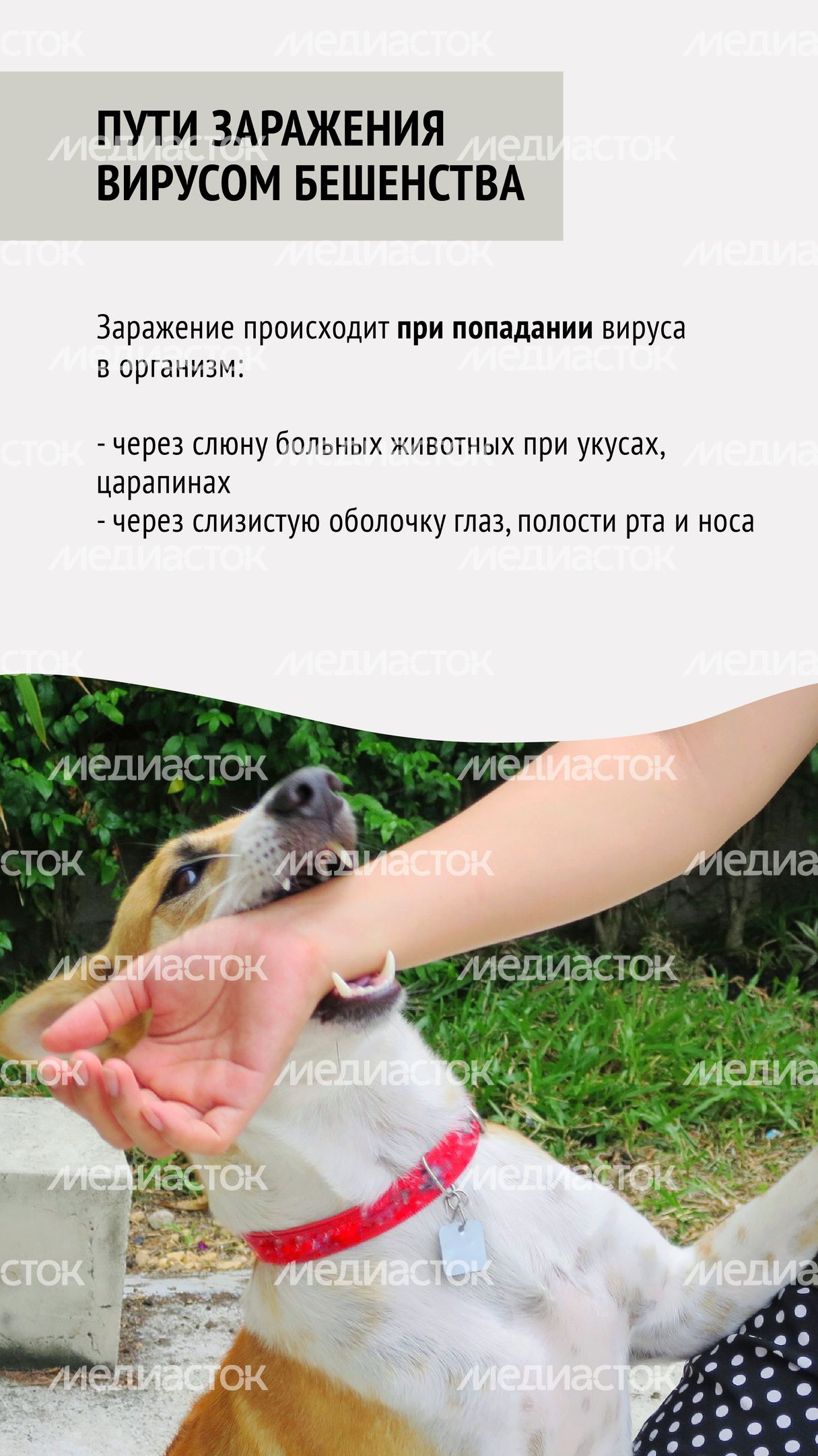 Вакцинация