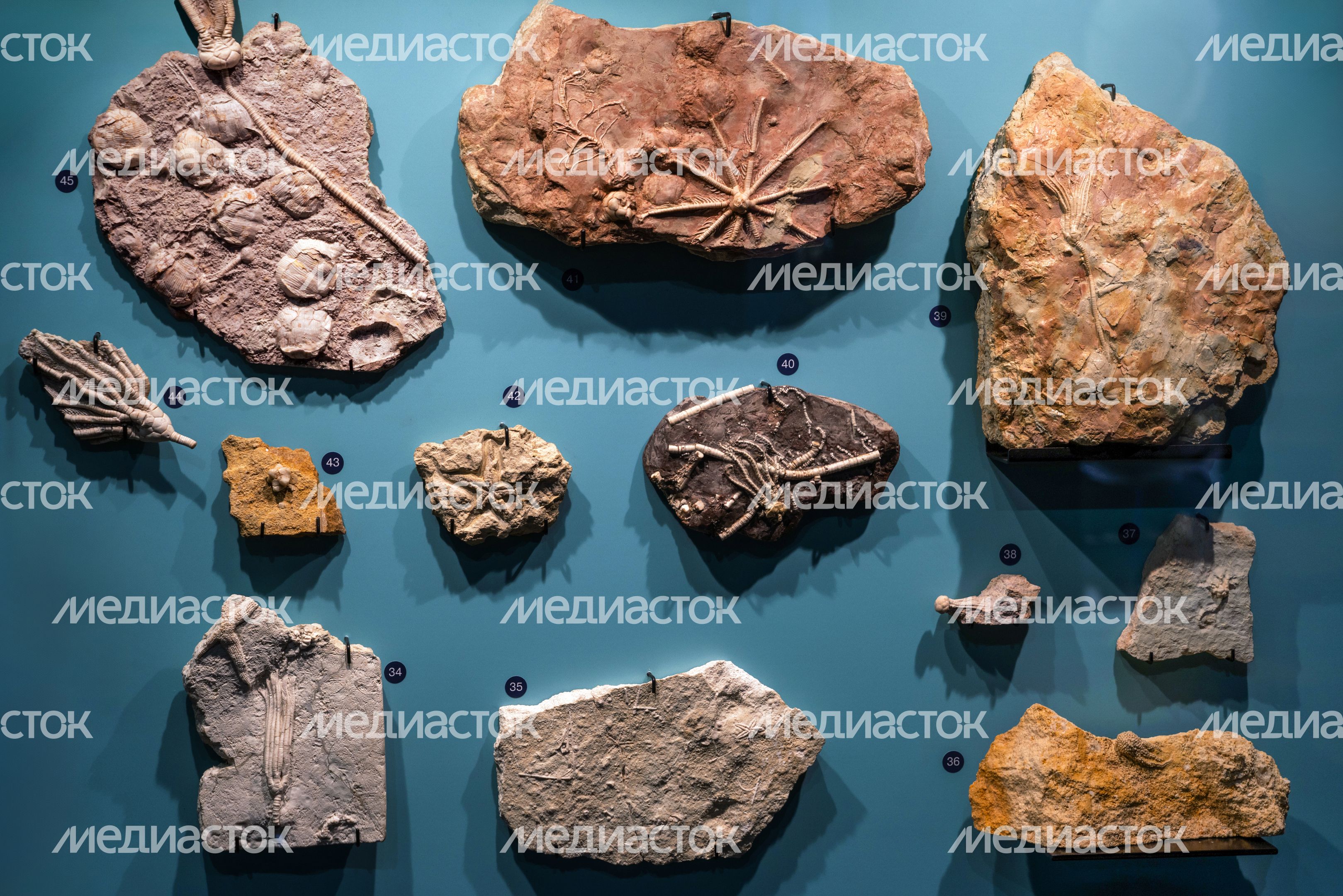 Музей истории мироздания в Истре Музей истории мироздания в Истре