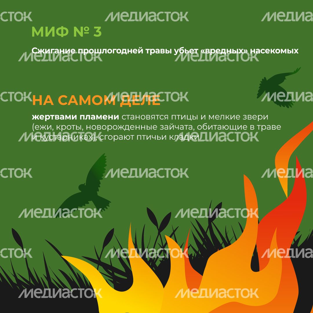 комлесхоз_пал_кв_4.jpg