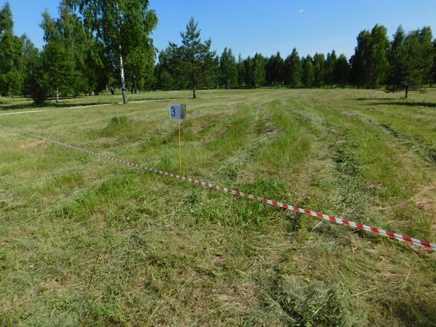 Поселок для медиков появится в Богородском округе