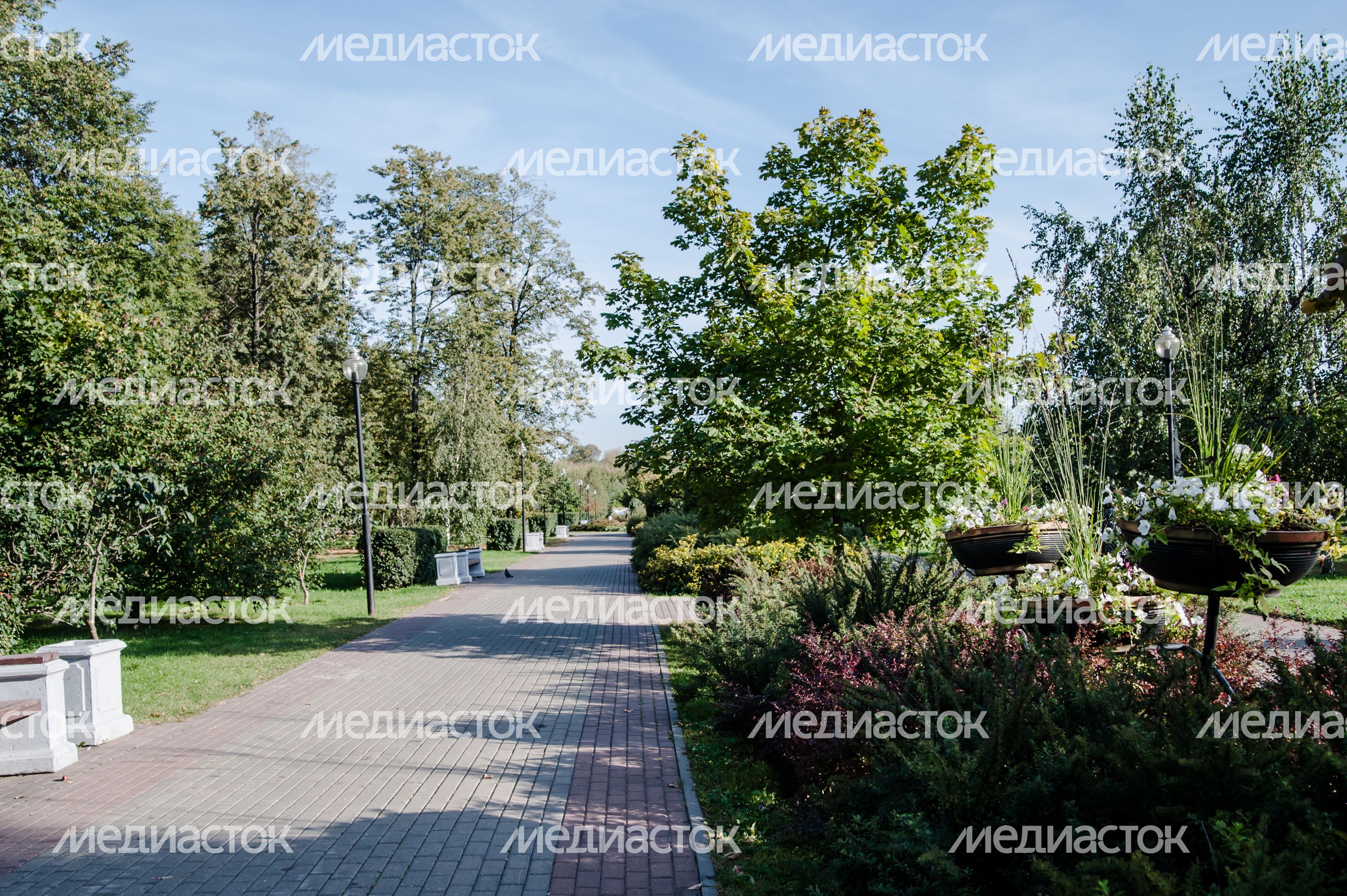 Виды города Мытищи